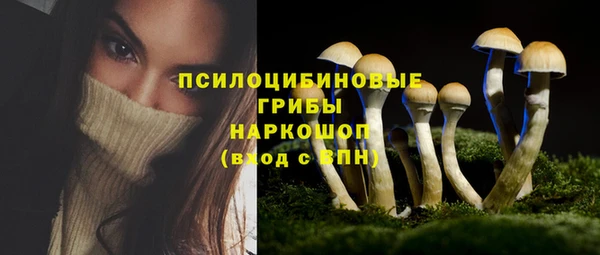 каннабис Ельня