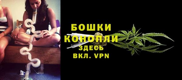 2c-b Елабуга