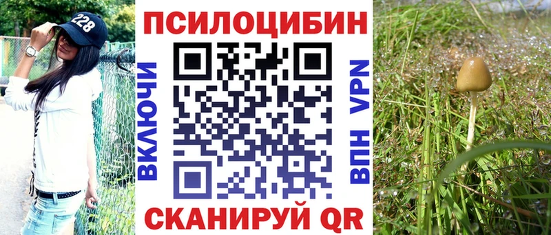 гидра как зайти  сколько стоит  Орск  Галлюциногенные грибы Cubensis 